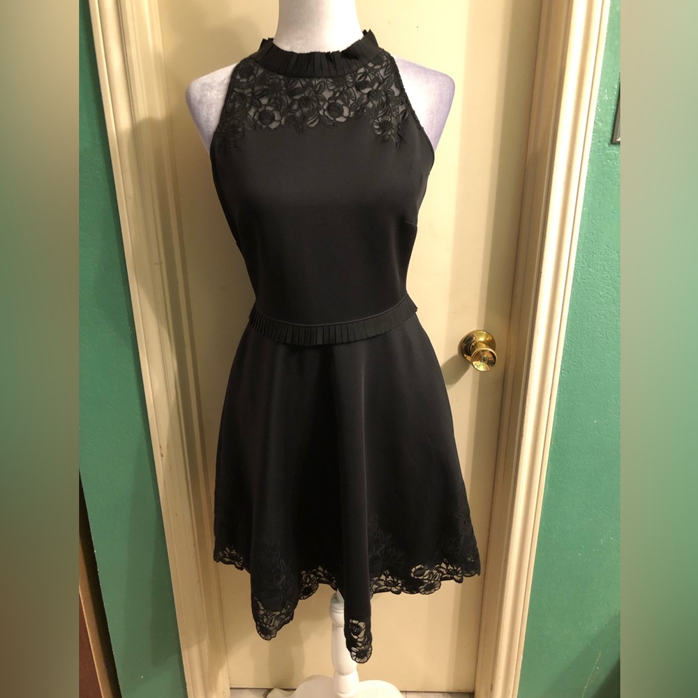 Ted Baker London Zaffron Embroidered Skater Black Dress